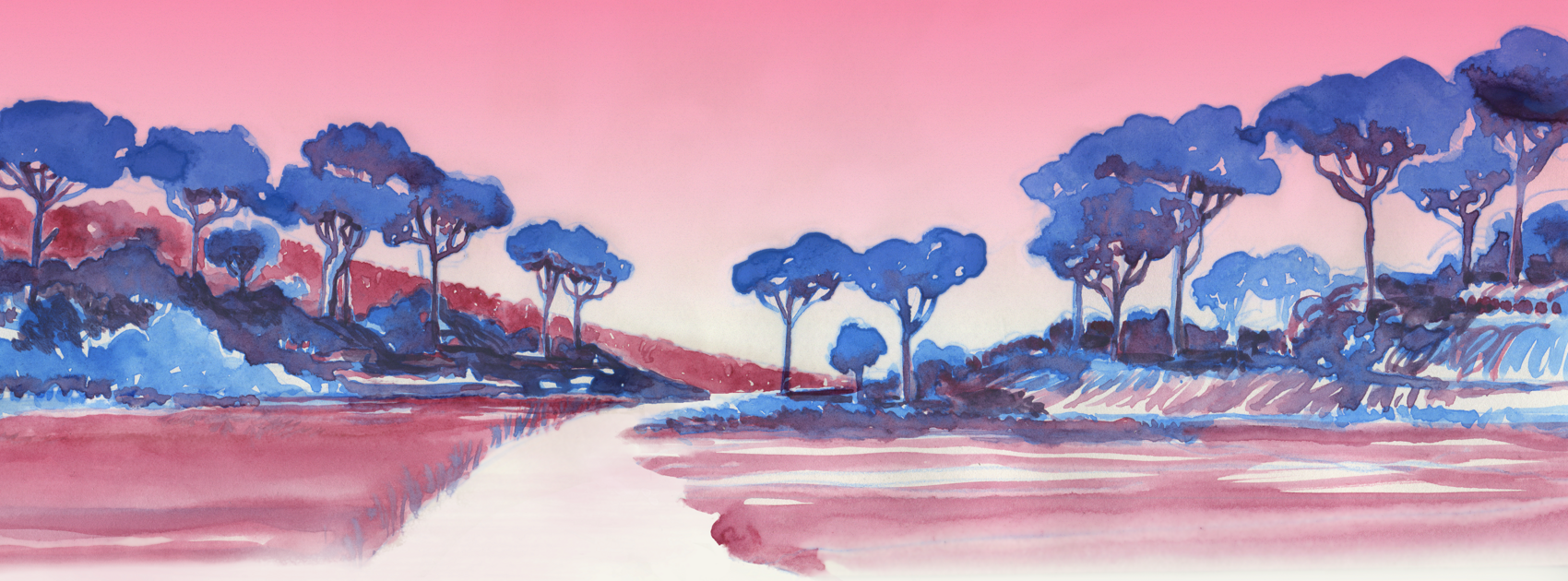 Image de Chemins de traverse