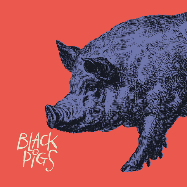 #94 – Black Pigs : Punk et cyclone scénique avec live dans les studios