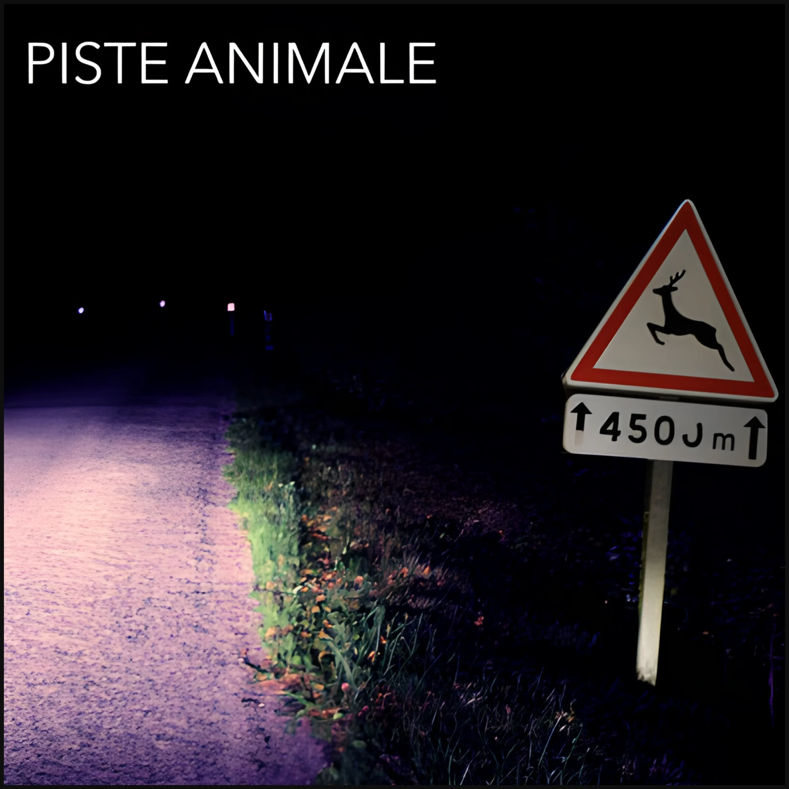 Piste Animale